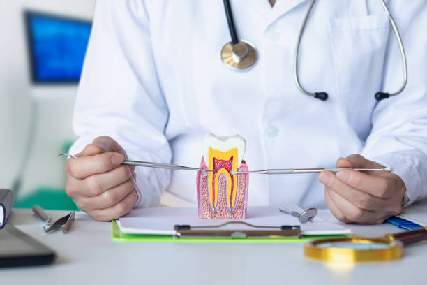 Best Emergency Dental Care for Abscessed Tooth in Park Forest, IL